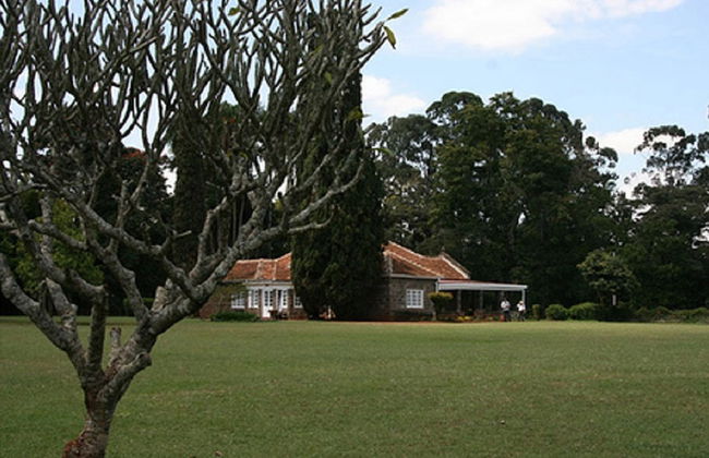 Visita al Karen Blixen Museum e al Giraffe Centre - Foto 2