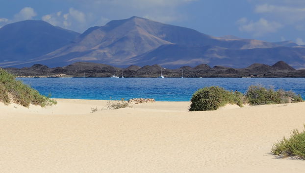 Dunas de Fuerteventura por conta própria - Foto 4