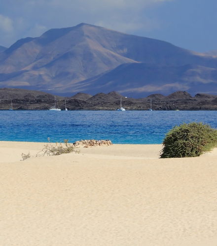 Foto de Dunas de Fuerteventura por libre