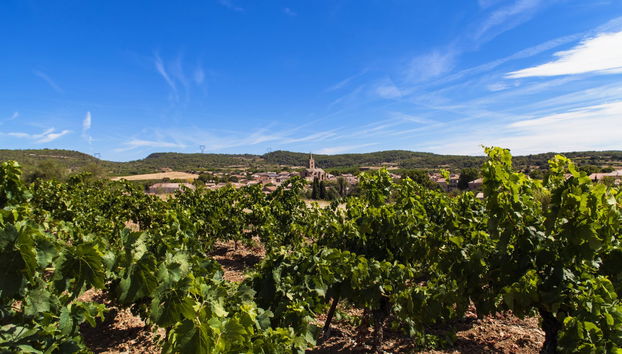 Languedoc Winery Private Tour & Tasting in Vintage Car - Photo 5