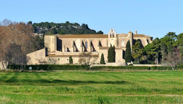 Languedoc Winery Private Tour & Tasting in Vintage Car - Photo 4