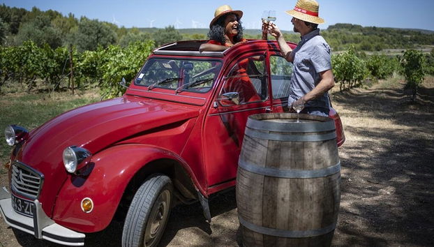 Languedoc Winery Private Tour & Tasting in Vintage Car - Photo 3