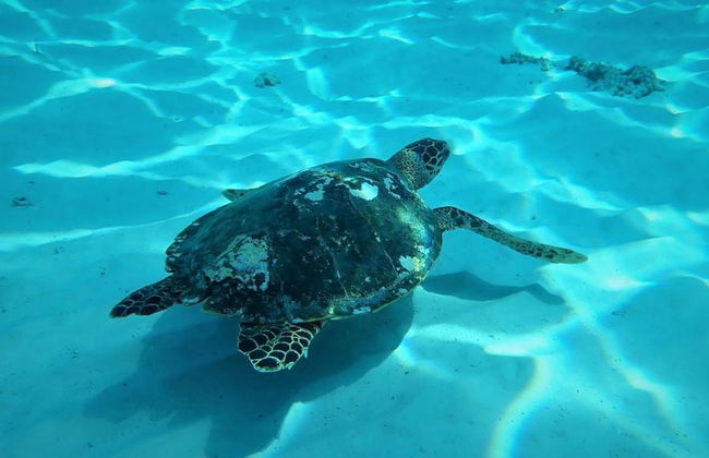 Islas Similan Phuket - Foto 2