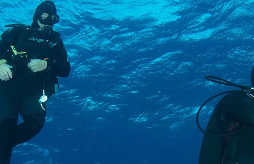 Scuba Diving in Mirissa - Photo 7