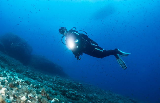 Scuba Diving in Mirissa - Photo 4