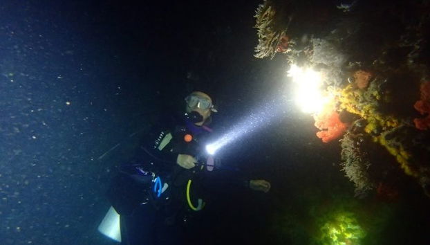 Mergulho em Mirissa - Foto 3