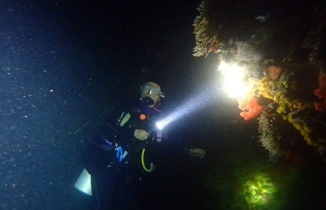 Scuba Diving in Mirissa - Foto 3