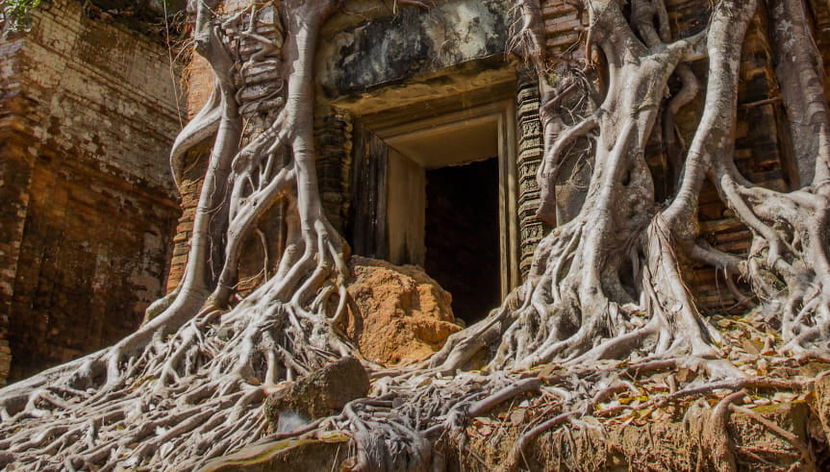Excursion à Koh Ker - Photo 3