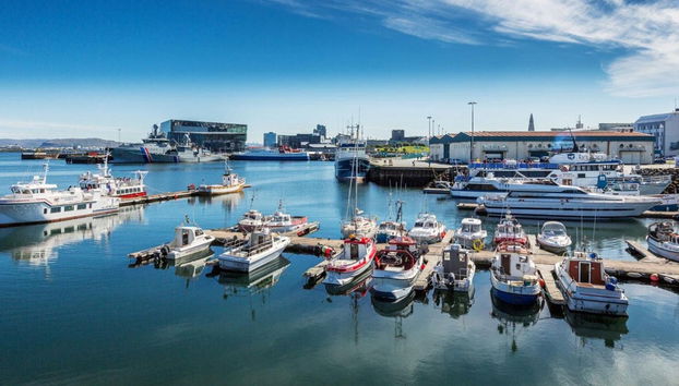 Avvistamento di balene - Foto 2