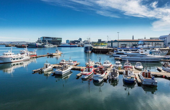 Whale Watching - Photo 2