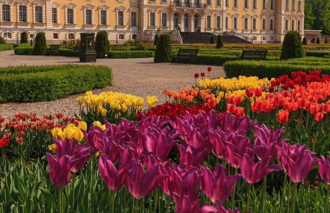 Excursión al Palacio de Rundāle - Foto 3