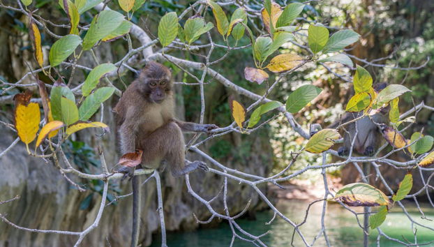 James Bond Island and Krabi Day Trip - Foto 4