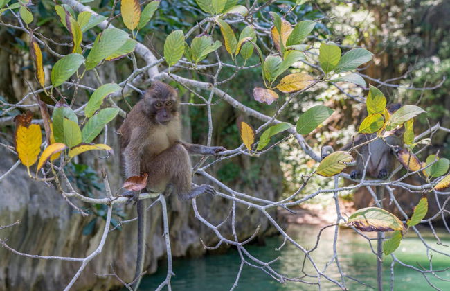 James Bond Island and Krabi Day Trip - Photo 4