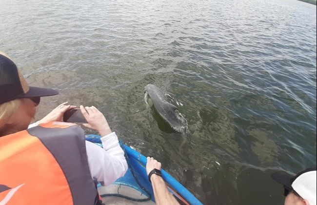 Escursione a Puerto El Morro con avvistamento di delfini - Foto 3