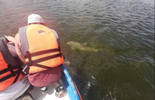 Escursione a Puerto El Morro con avvistamento di delfini - Foto 5