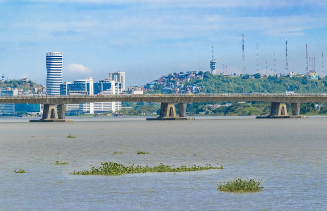 Trip to Puerto El Morro with Dolphin Watching - Foto 7