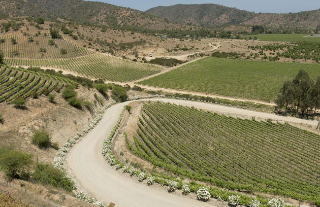 Excursão a Valparaíso e Viña del Mar - Foto 1