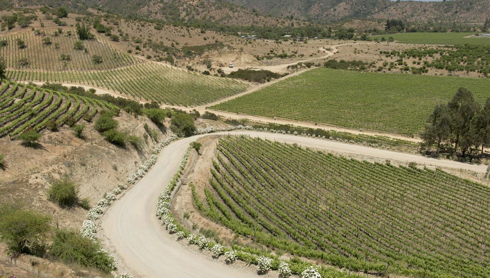 Excursão a Valparaíso e Viña del Mar - Foto 1