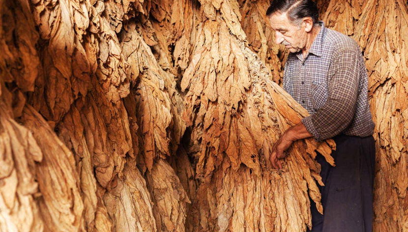 Higüey & Sugar Cane Fields Safari - Foto 2