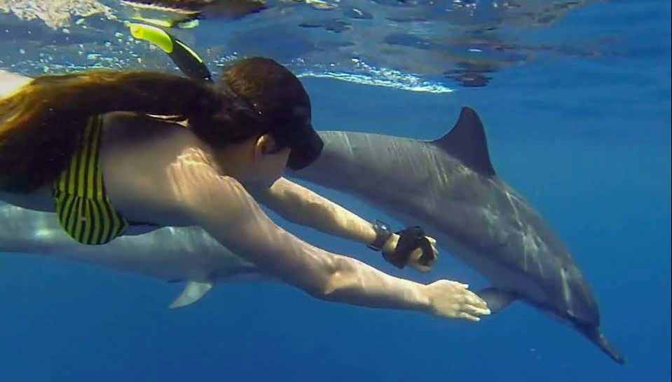 Swimming with Dolphins in Zanzibar - Foto 1