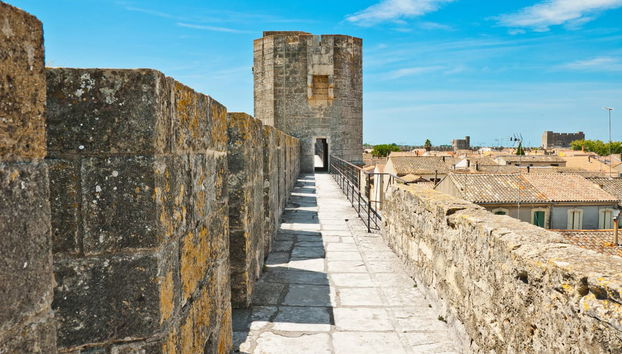 Aigues-Mortes Towers & Ramparts Ticket - Foto 3