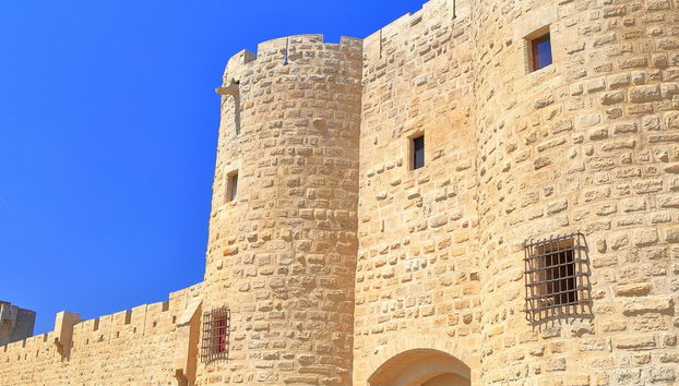 Aigues-Mortes Towers & Ramparts Ticket - Foto 4