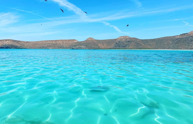 Excursión a la isla Espíritu Santo en barco - Foto 6