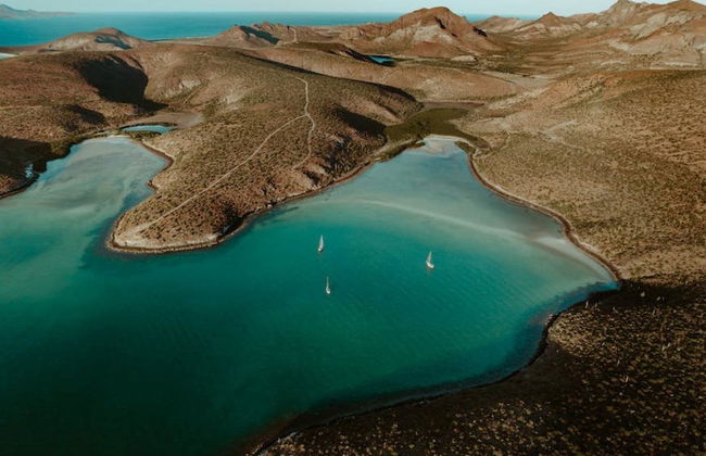 Excursión a la isla Espíritu Santo en barco - Foto 2