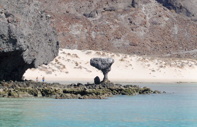 Excursión a la isla Espíritu Santo en barco - Foto 4
