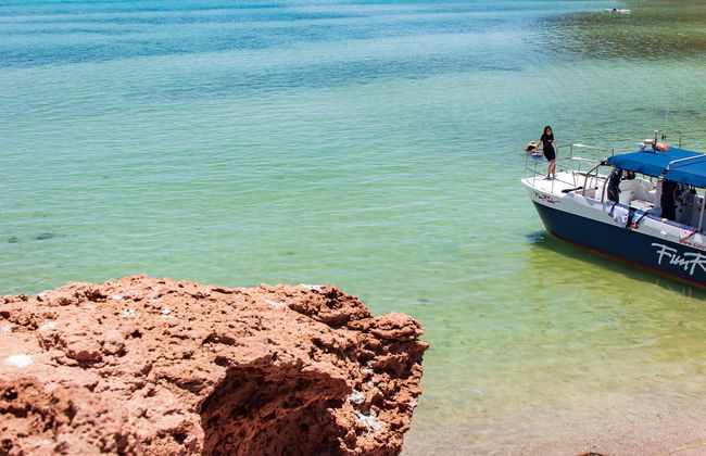 Excursión a la isla Espíritu Santo en barco - Foto 8