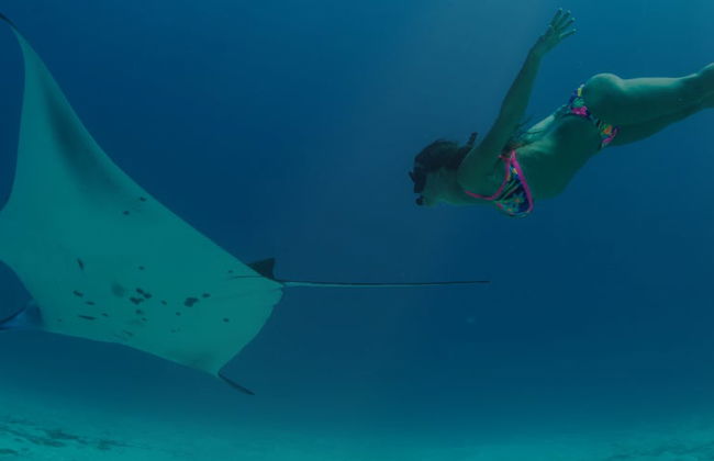 Night Swim with Manta Rays - Photo 5