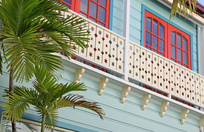 Marigot & Maho Beach Day Trip - Photo 5