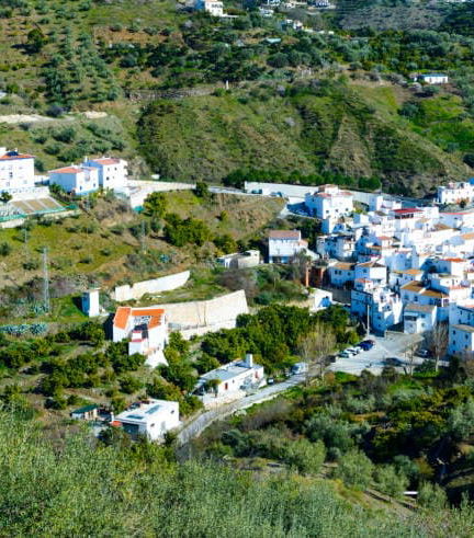 Foto de Excursión a los pueblos blancos