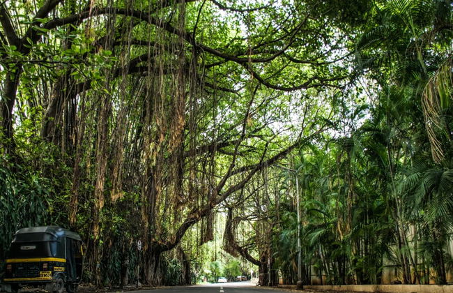 Spiritual Walking Tour of Pune - Foto 2