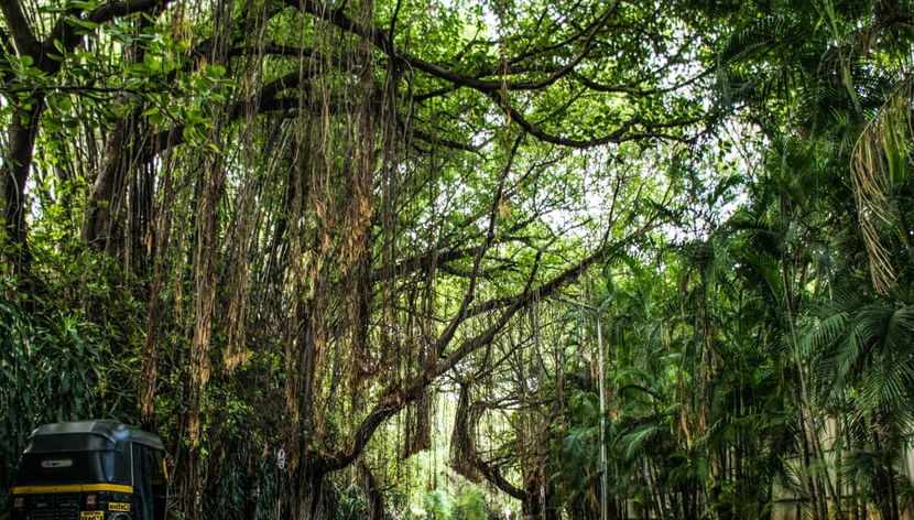 Spiritual Walking Tour of Pune - Foto 2