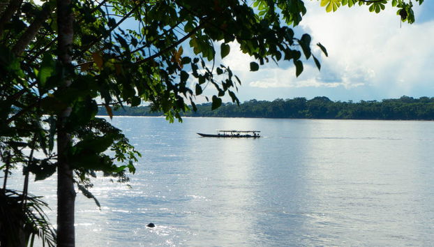 Excursion de 3 jours à Puerto Maldonado - Photo 3