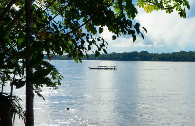 Puerto Maldonado 3 Day Tour - Foto 3