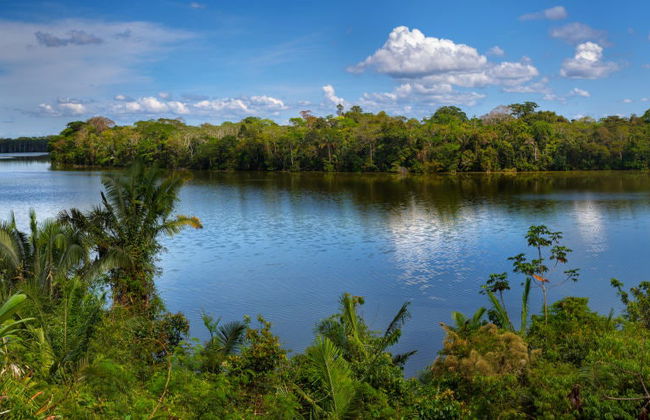 Tour de 3 días por Puerto Maldonado - Foto 5