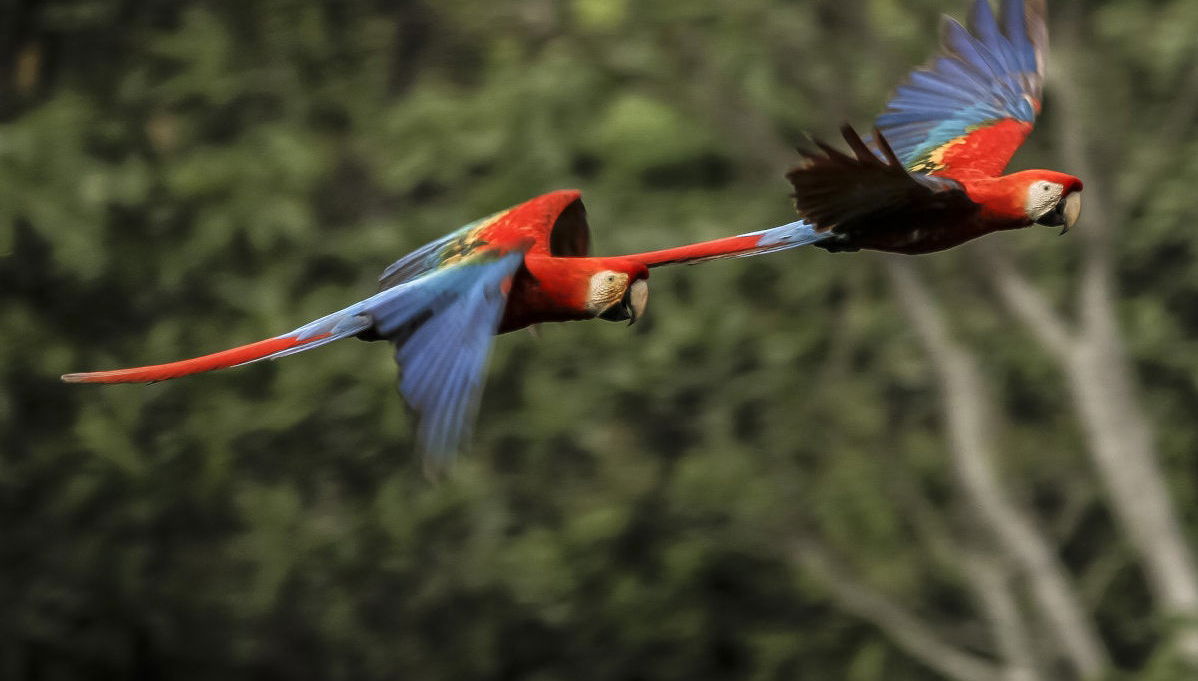 Excursion de 3 jours à Puerto Maldonado - Photo 1