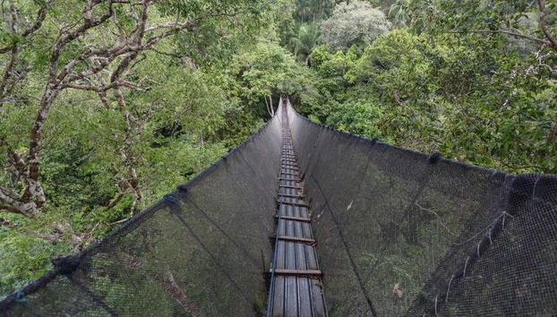 Excursion de 3 jours à Puerto Maldonado - Photo 5