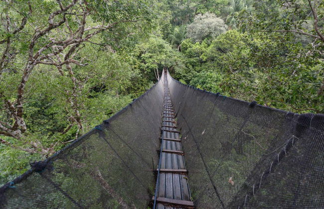 Puerto Maldonado 3 Day Tour - Foto 5