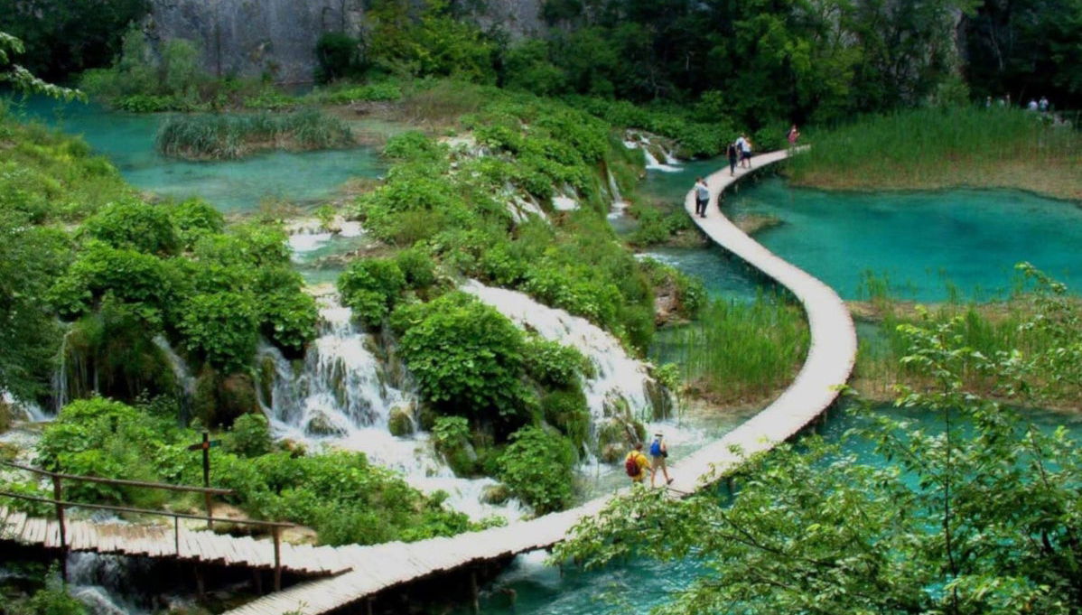 Bach Ma National Park Tour - Foto 1