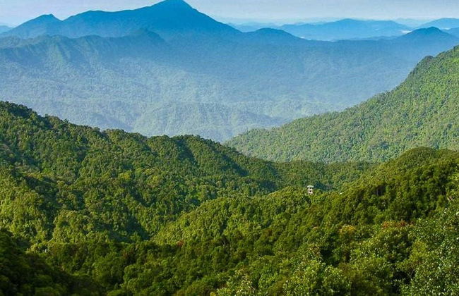 Bach Ma National Park Tour - Photo 2