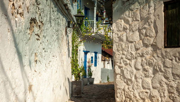 Tour privado por Honda - Photo 4