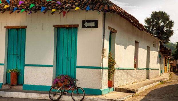 Tour privado por Honda - Photo 5