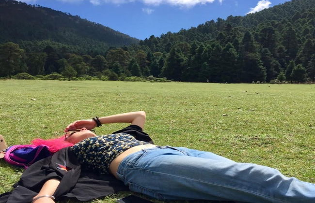 Senderismo por los Bosques del Nevado de Toluca - Foto 4