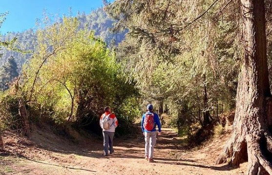 Nevado de Toluca National Park Hikes - Photo 3