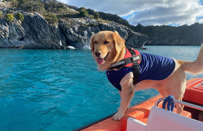 Paseo en barco por Puerto Sánchez y las cavernas de mármol - Foto 3