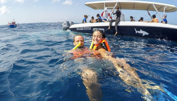 Swimming with Whale Sharks Tour - Photo 3