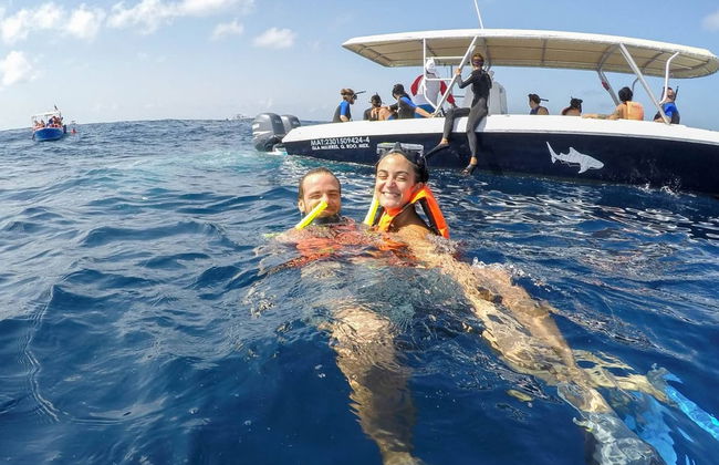 Nado con tiburones ballena - Foto 2